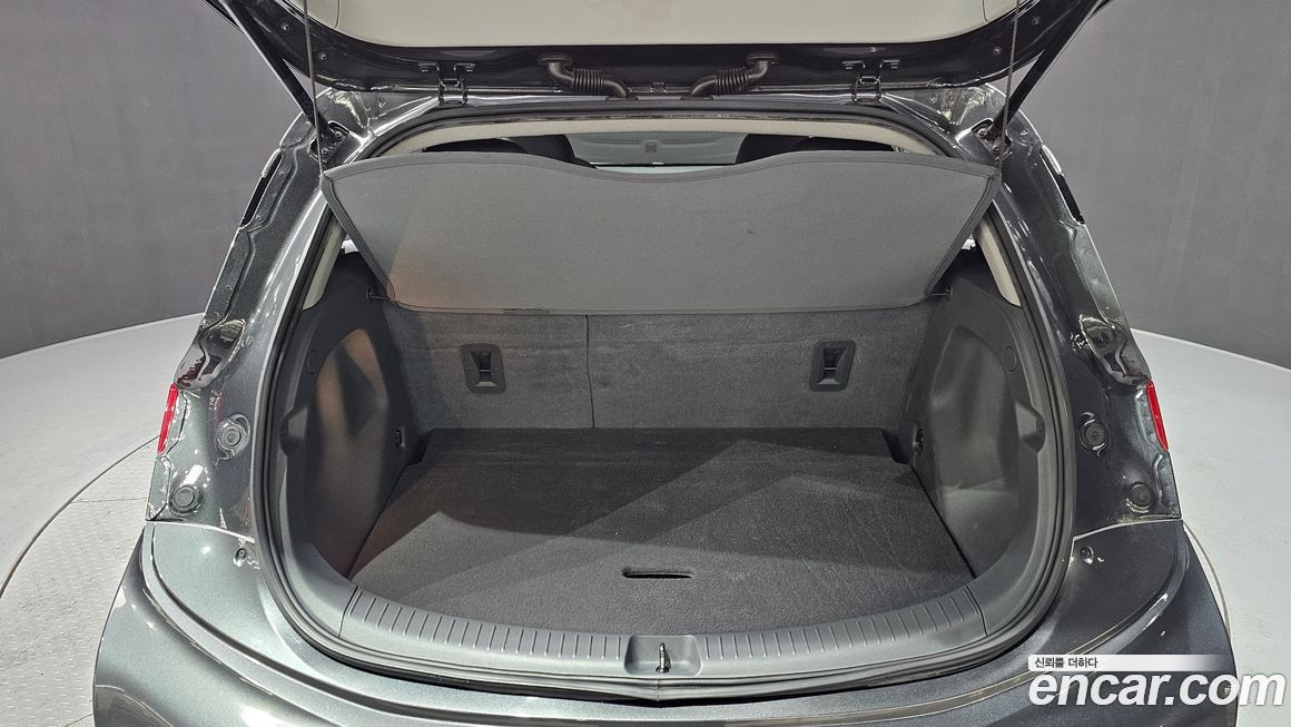 ChevroletGMDaewoo Bolt EV 2019