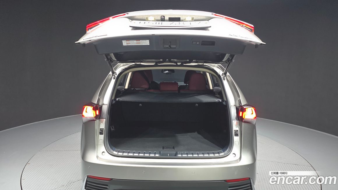 Lexus NX 2018