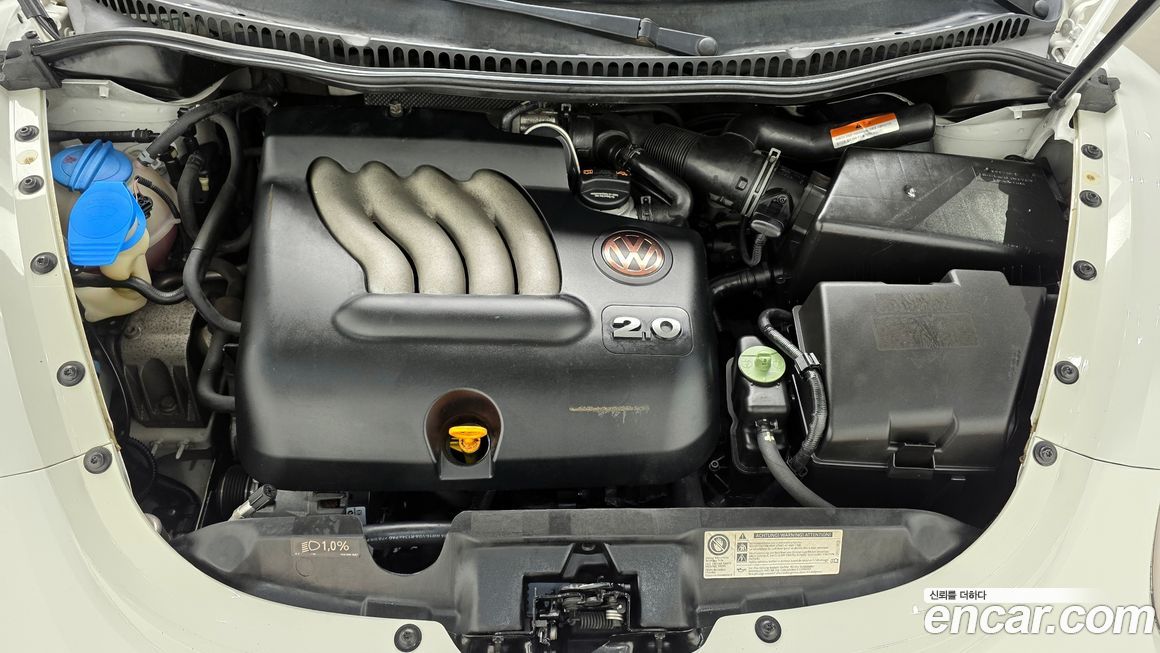 Volkswagen Beatle 2011