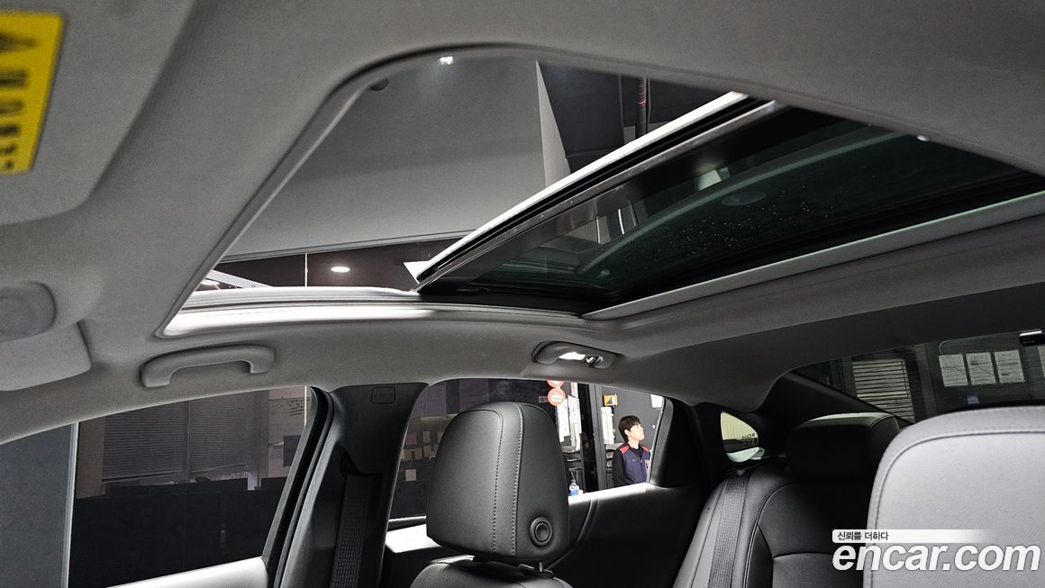 ChevroletGMDaewoo Malibu 2019