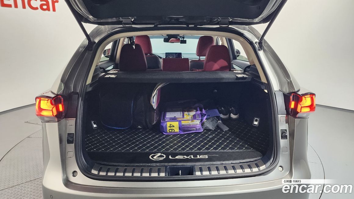 Lexus NX 2019