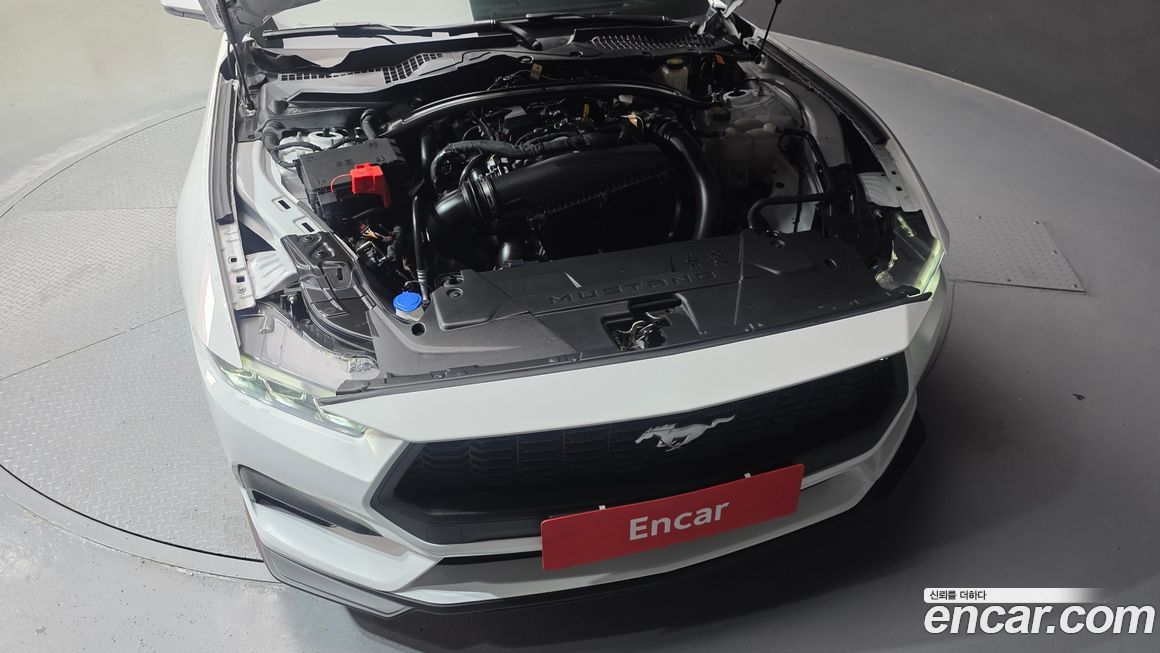 Ford Mustang 2024