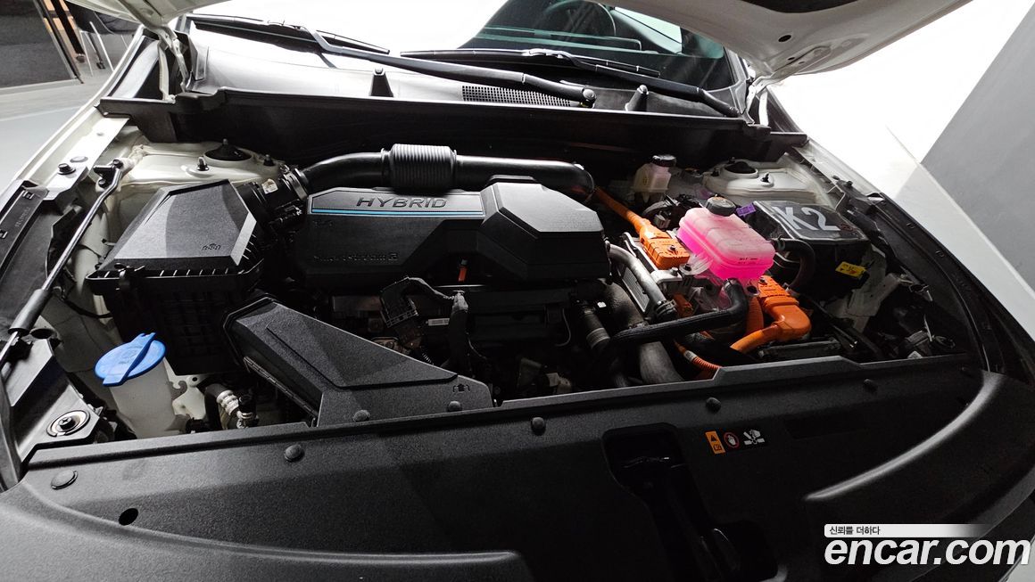 Kia Sportage 2024