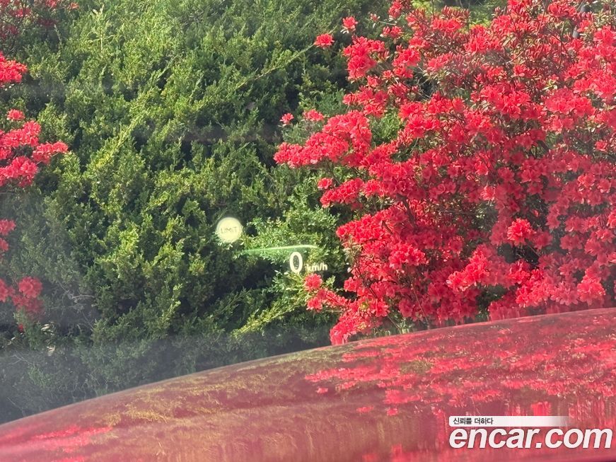 Rolls-Royce Cullinan 2020