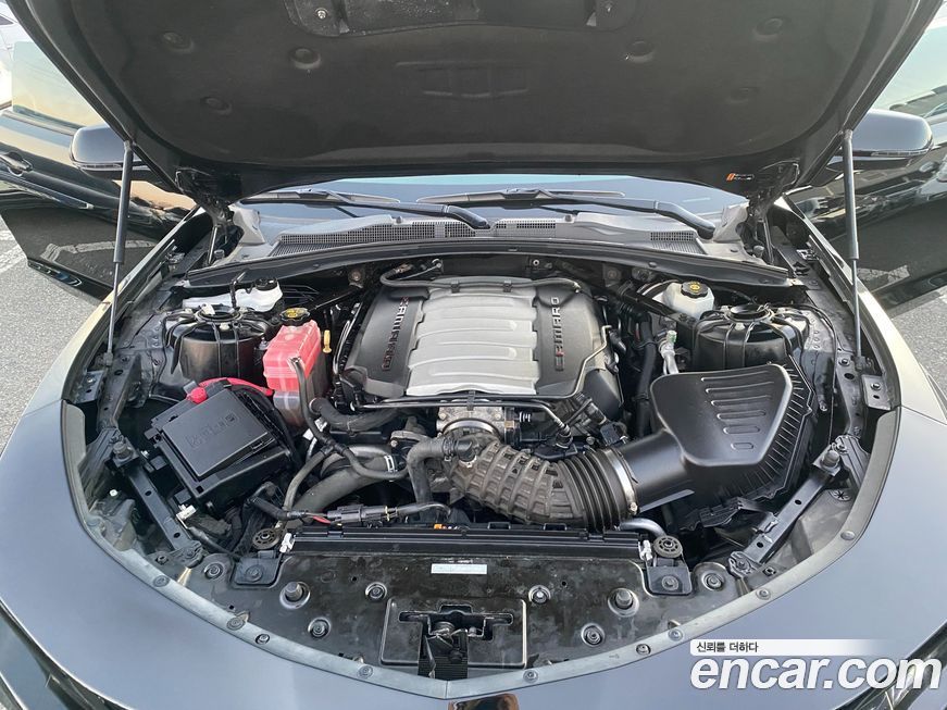 ChevroletGMDaewoo Camaro 2019