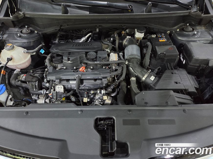 Kia Sportage 2023