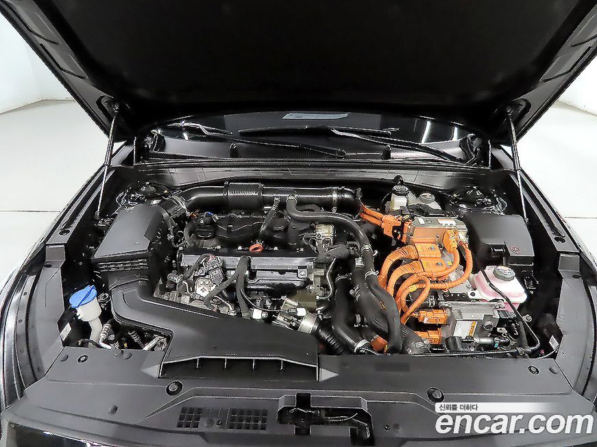 Kia K8 2022