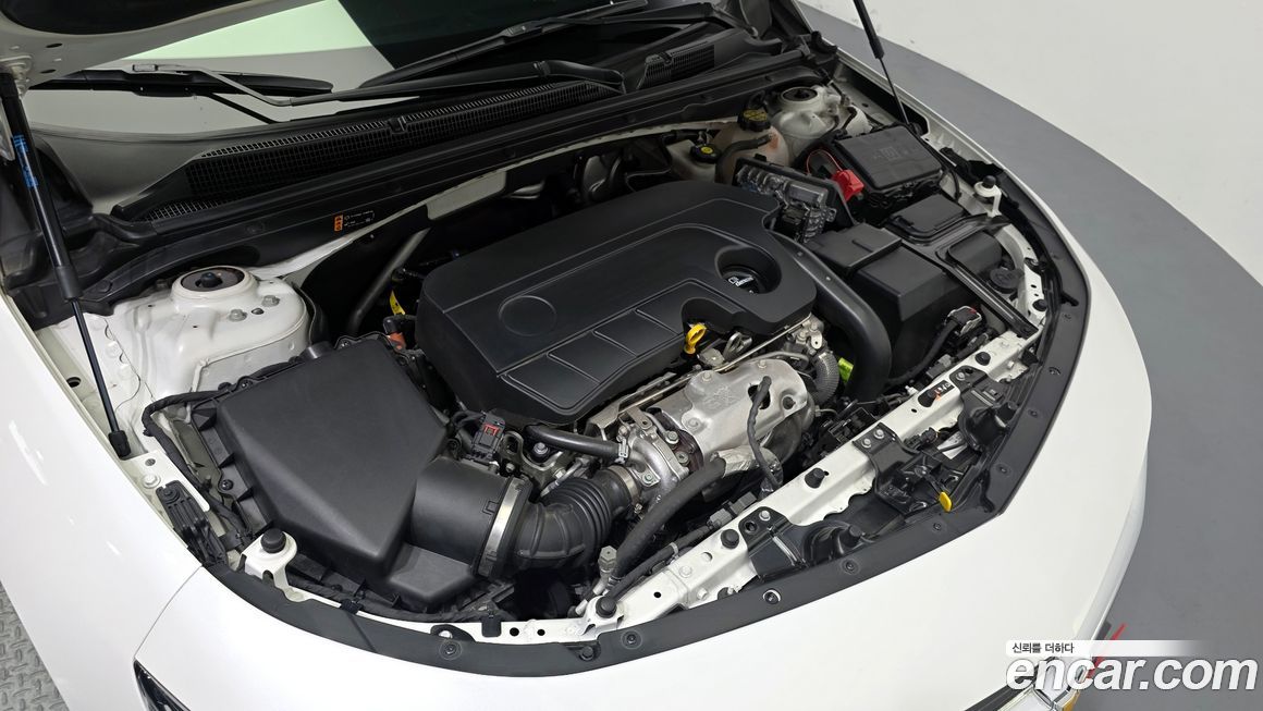 ChevroletGMDaewoo Malibu 2019