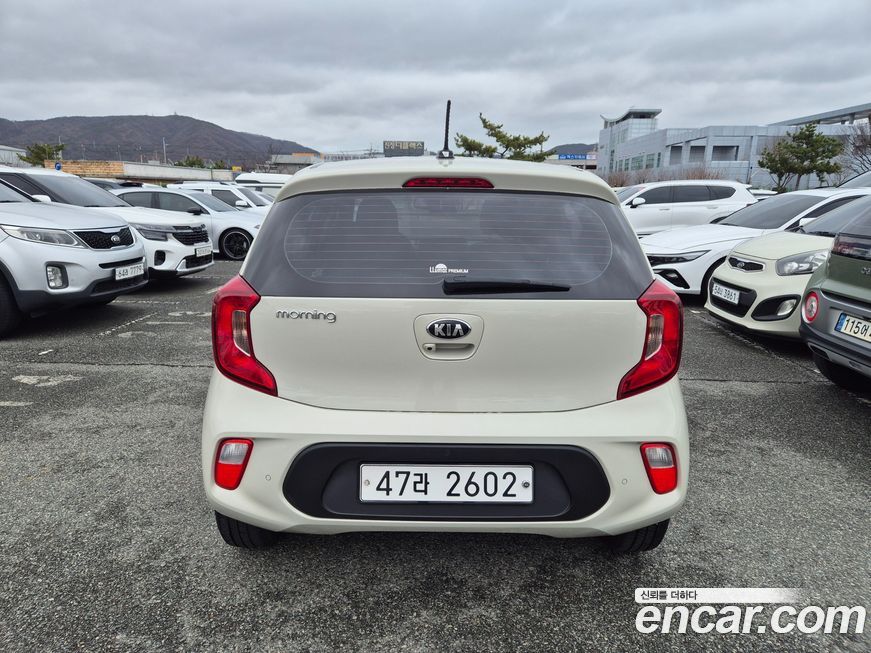 Kia morning 2019