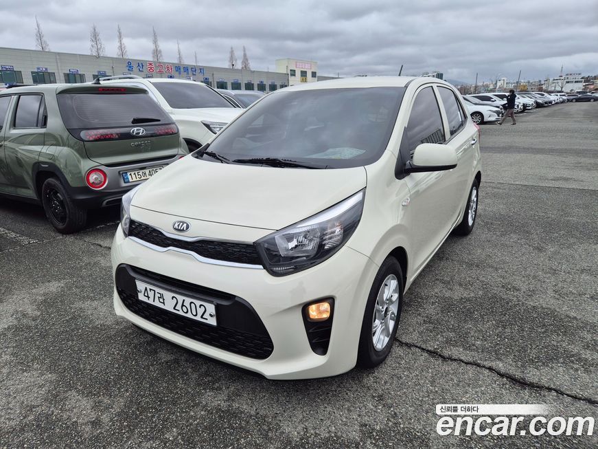 Kia morning 2019