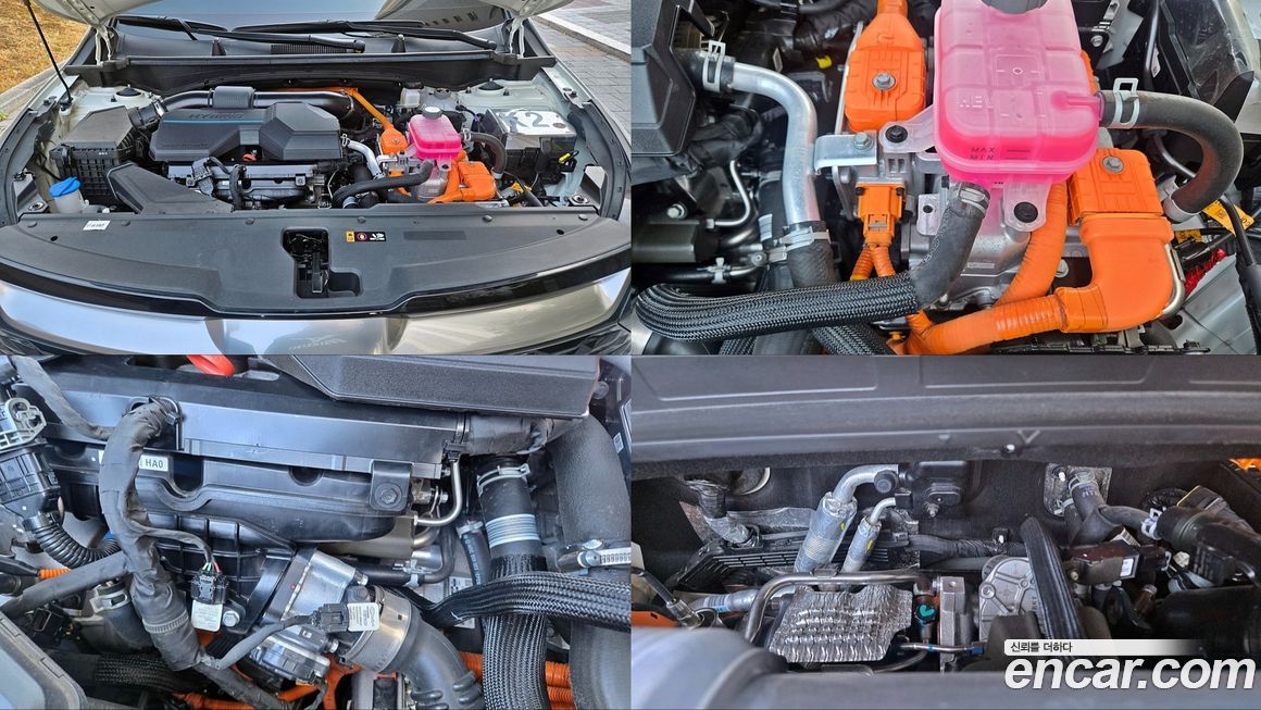 Kia Sportage 2024