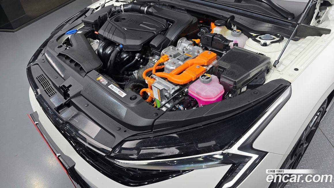 Kia K5 2024