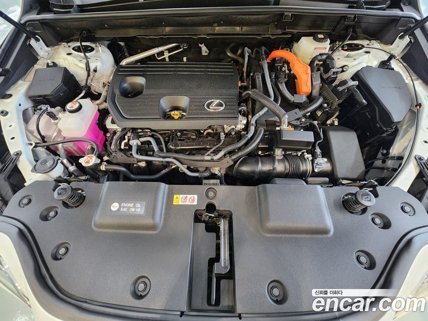Lexus NX 2025