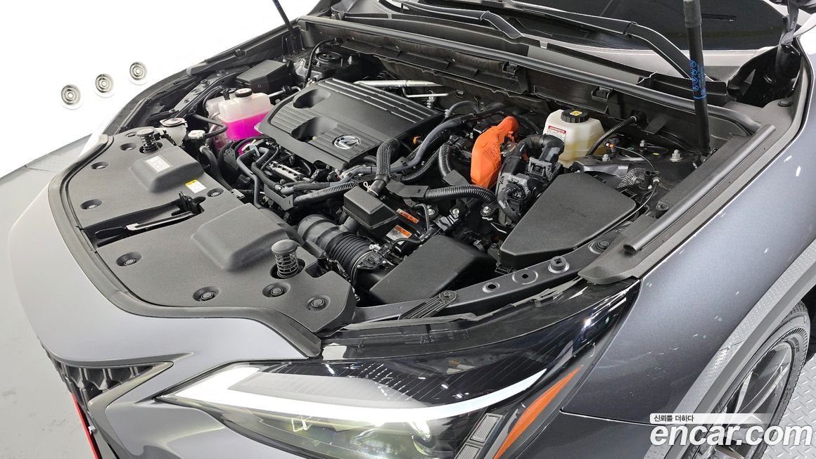 Lexus NX 2025