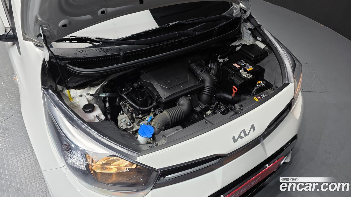 Kia morning 2023