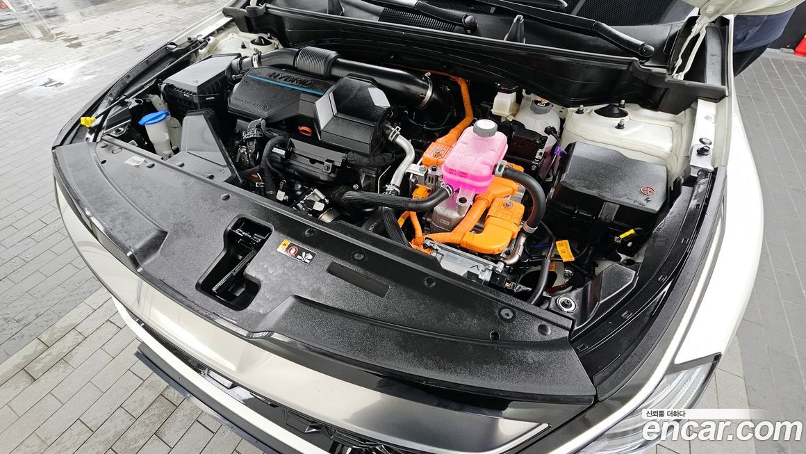 Kia Sportage 2024