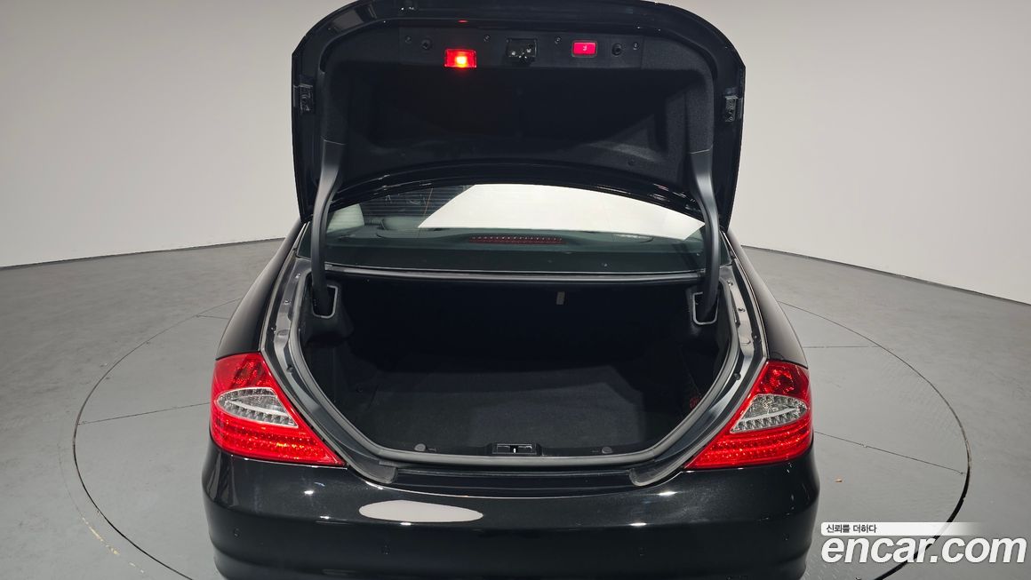 Mercedes-Benz CLS-Class 2010