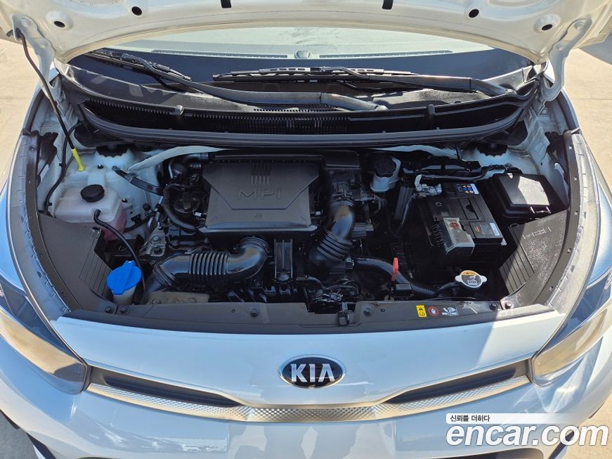 Kia morning 2021
