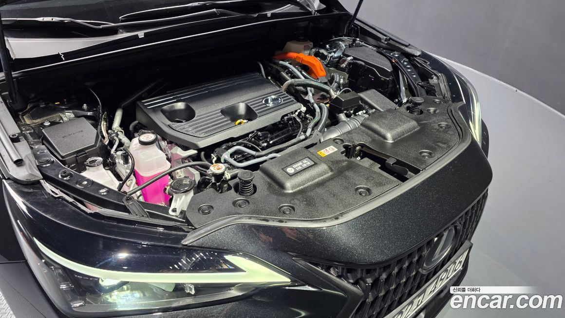 Lexus NX 2025