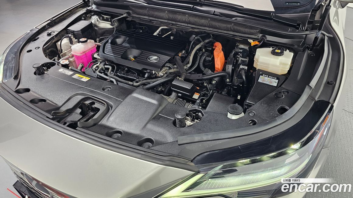 Lexus RX 2023