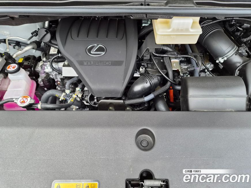 Lexus LM 2025