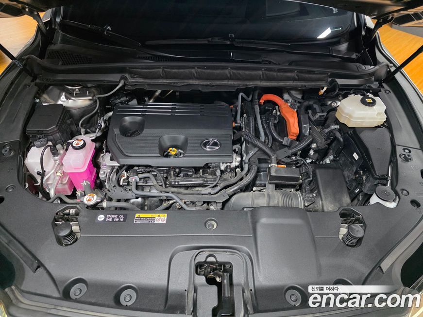 Lexus RX 2023