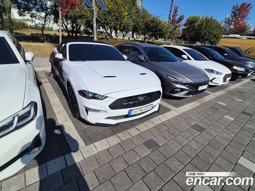 Ford Mustang 2022