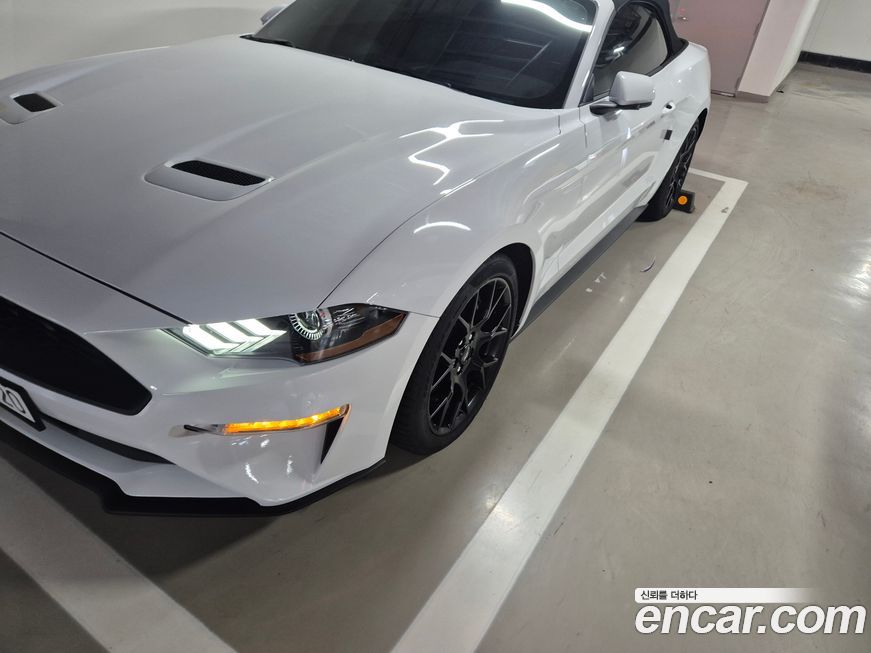Ford Mustang 2022