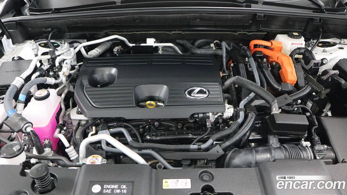 Lexus NX 2025