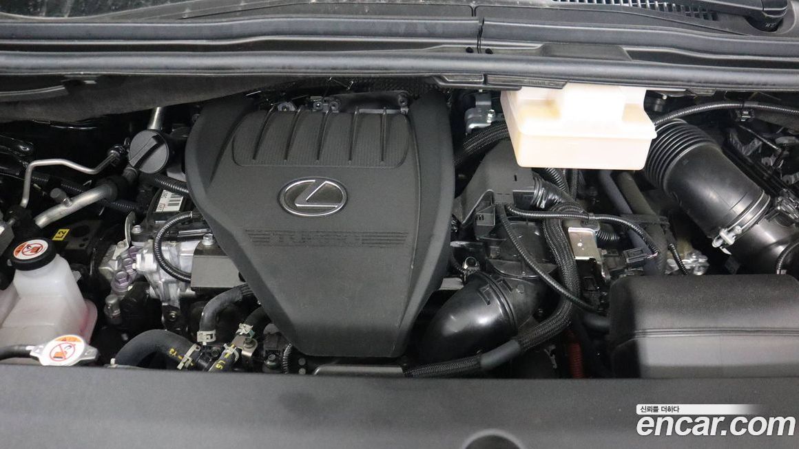 Lexus LM 2025