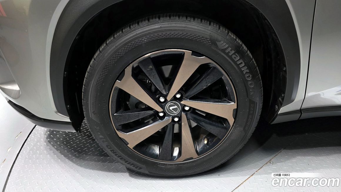 Lexus NX 2019