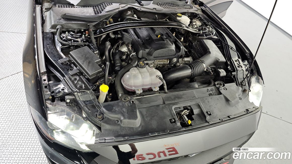 Ford Mustang 2019