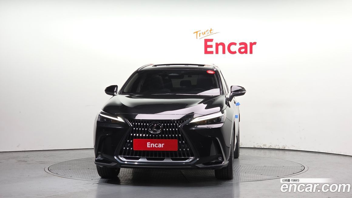 Lexus NX 2024