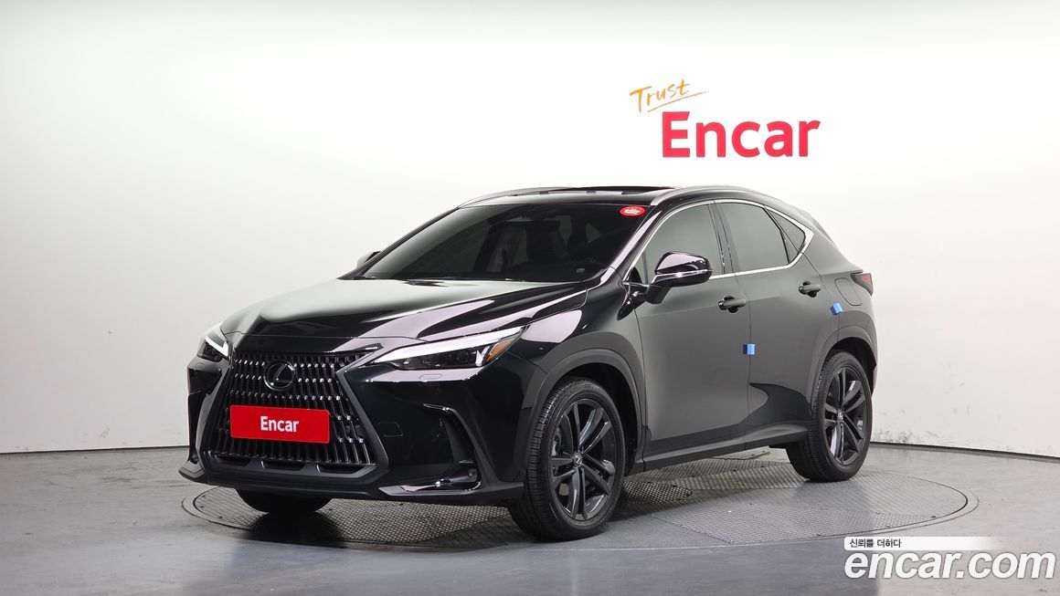 Lexus NX 2024