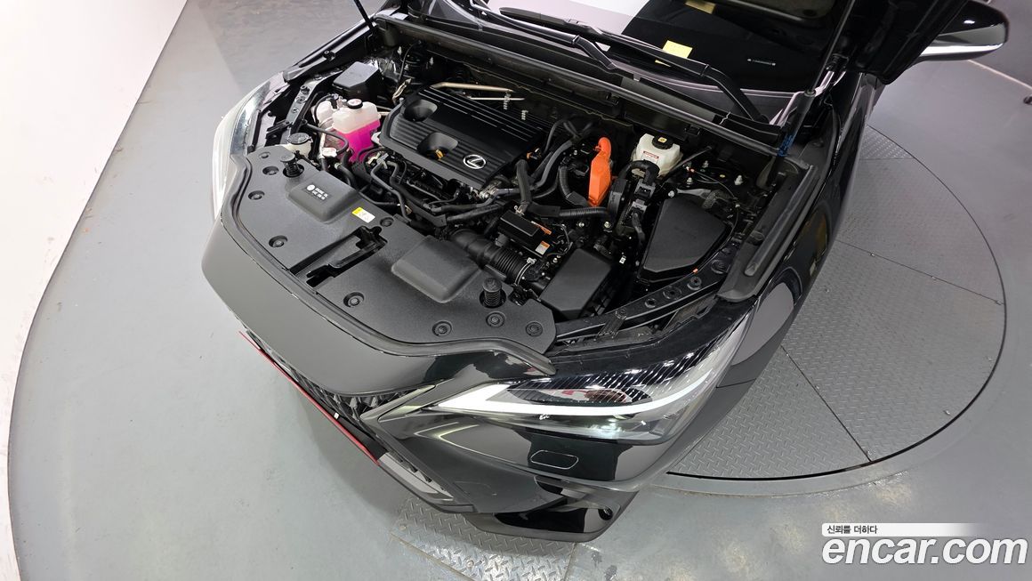 Lexus NX 2024