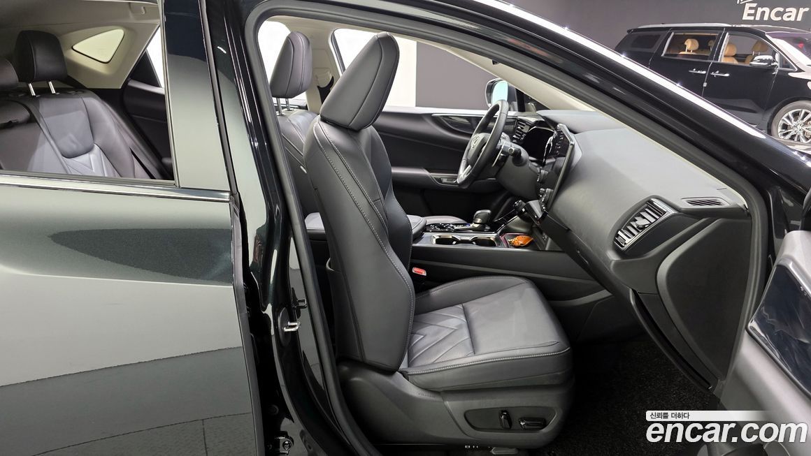 Lexus NX 2024