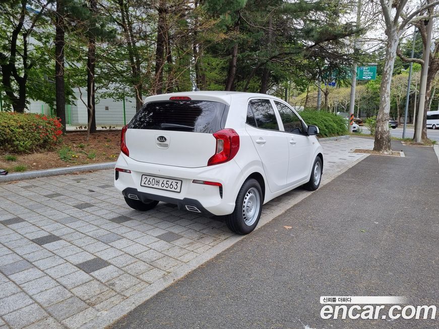 Kia morning 2021