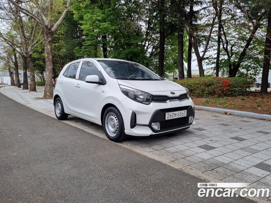 Kia morning 2021