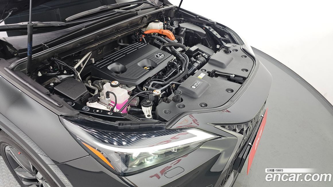 Lexus NX 2023