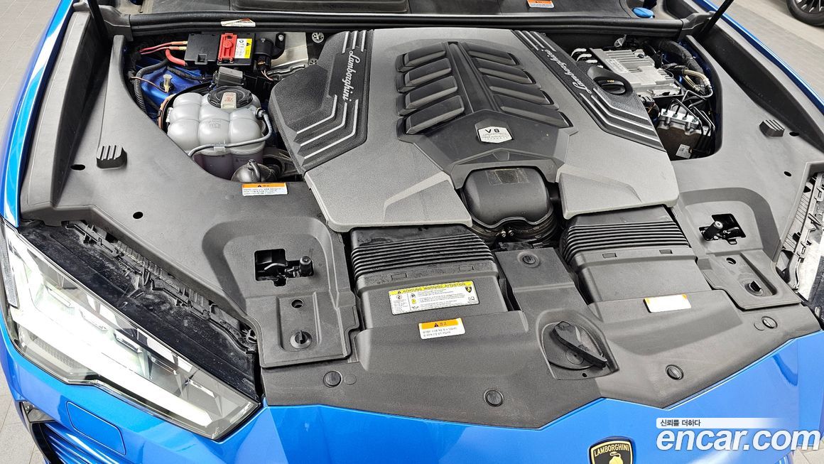 Lamborghini Urus 2021