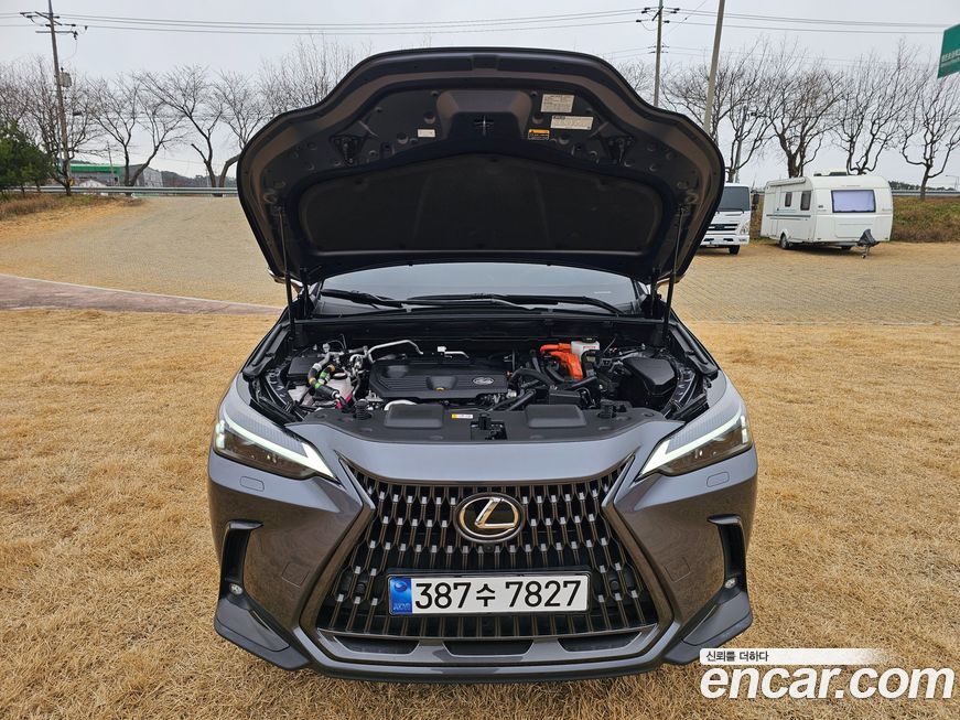 Lexus NX 2024