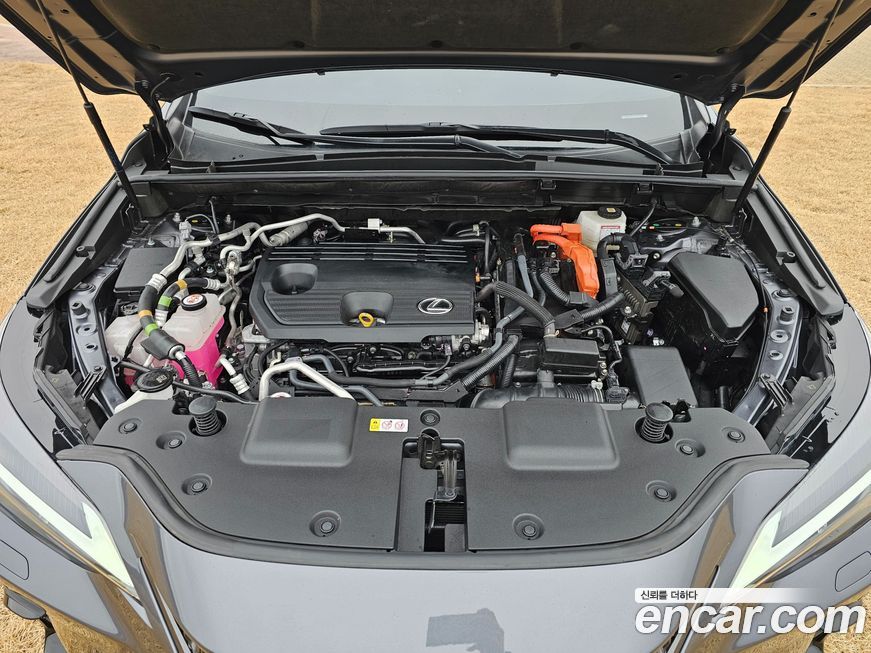 Lexus NX 2024