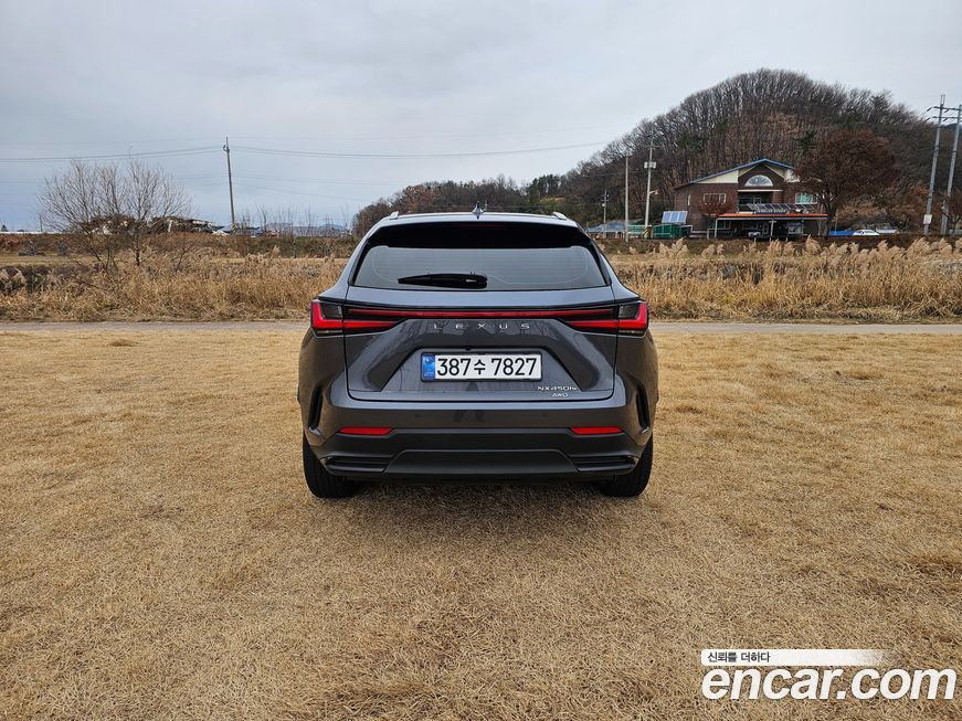 Lexus NX 2024
