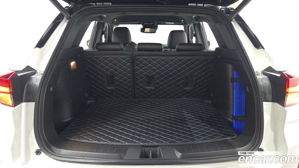 ChevroletGMDaewoo Trailblazer 2021