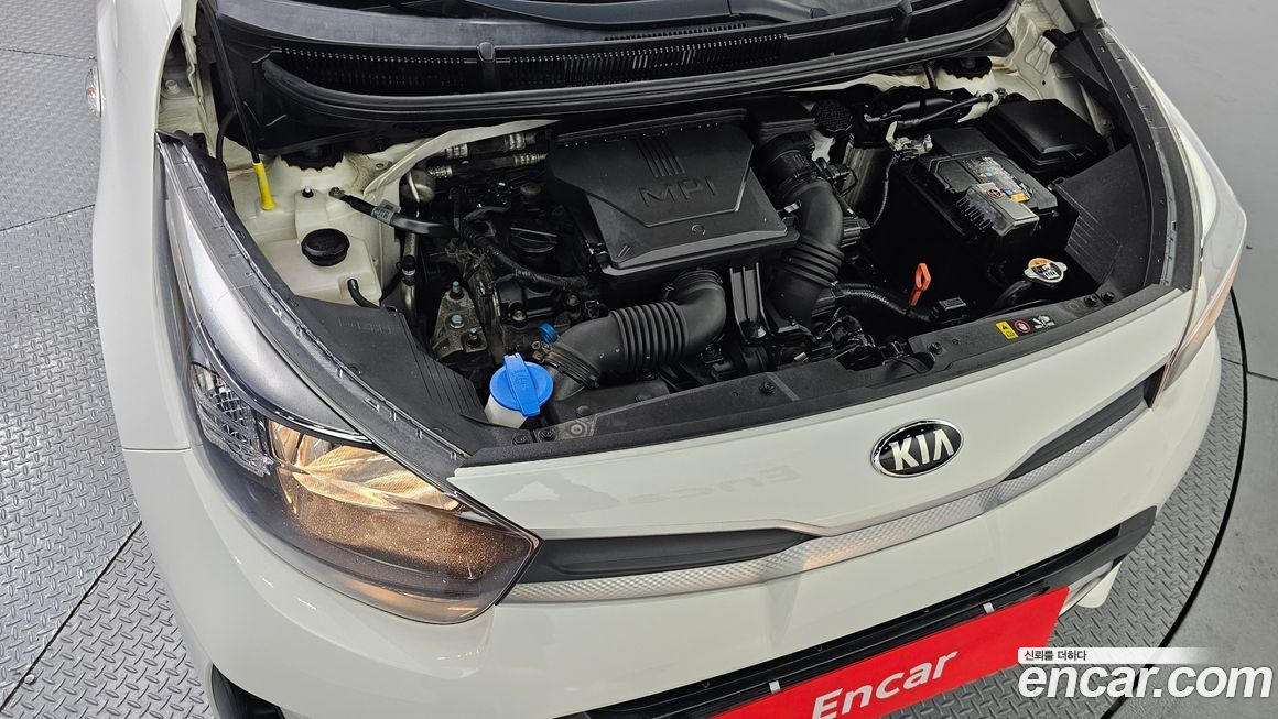 Kia morning 2021