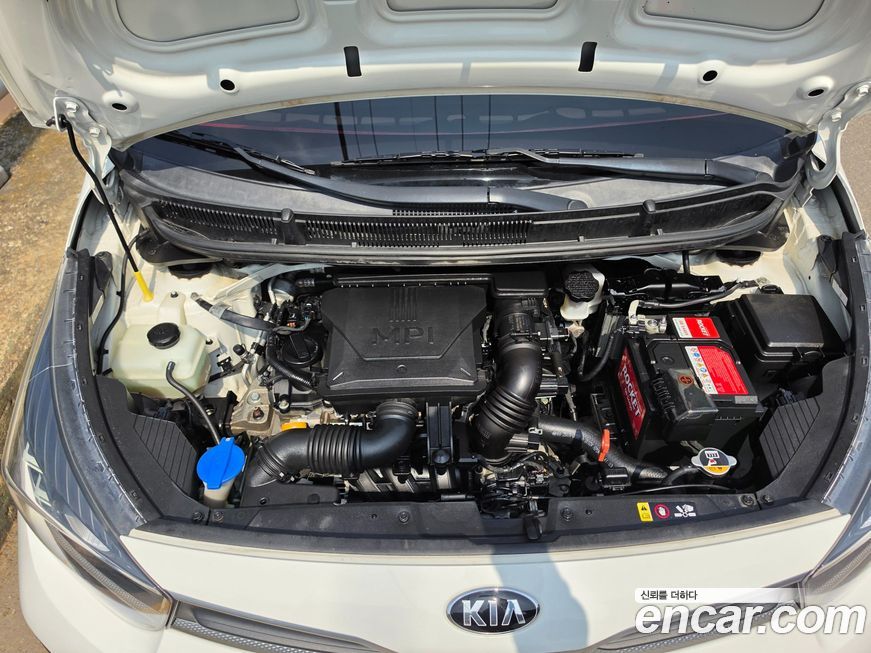 Kia morning 2021