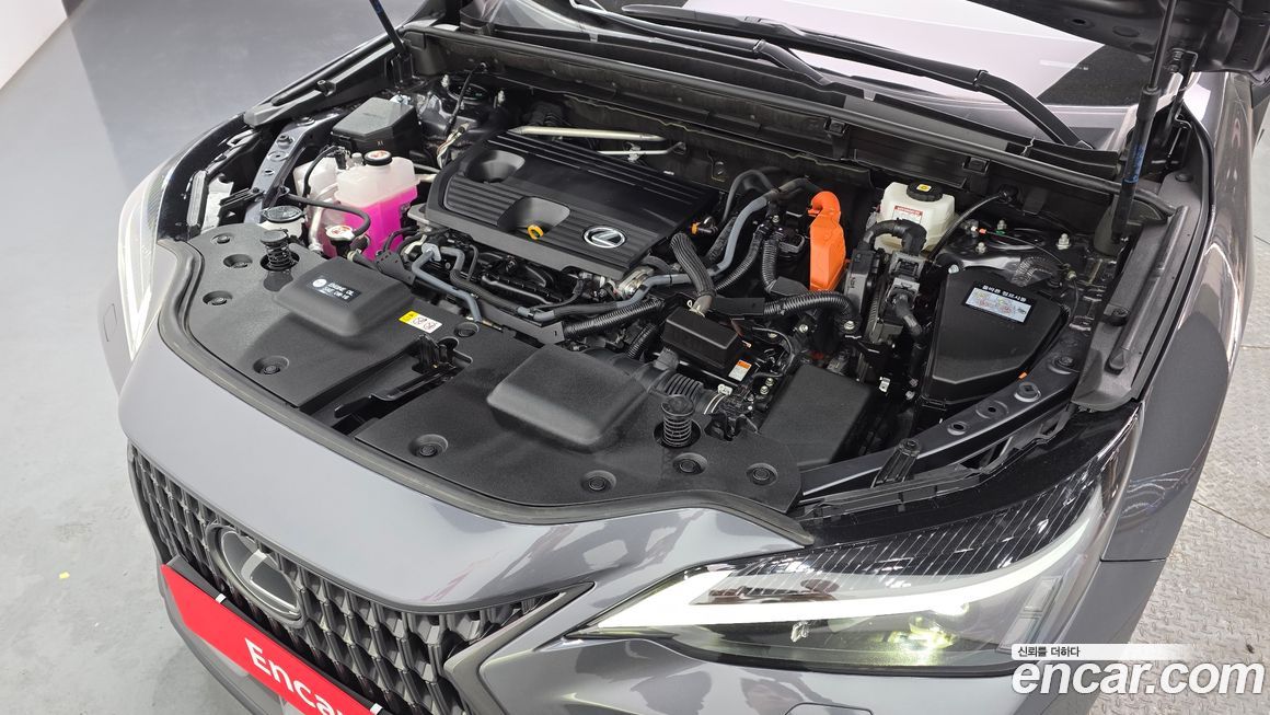 Lexus NX 2024