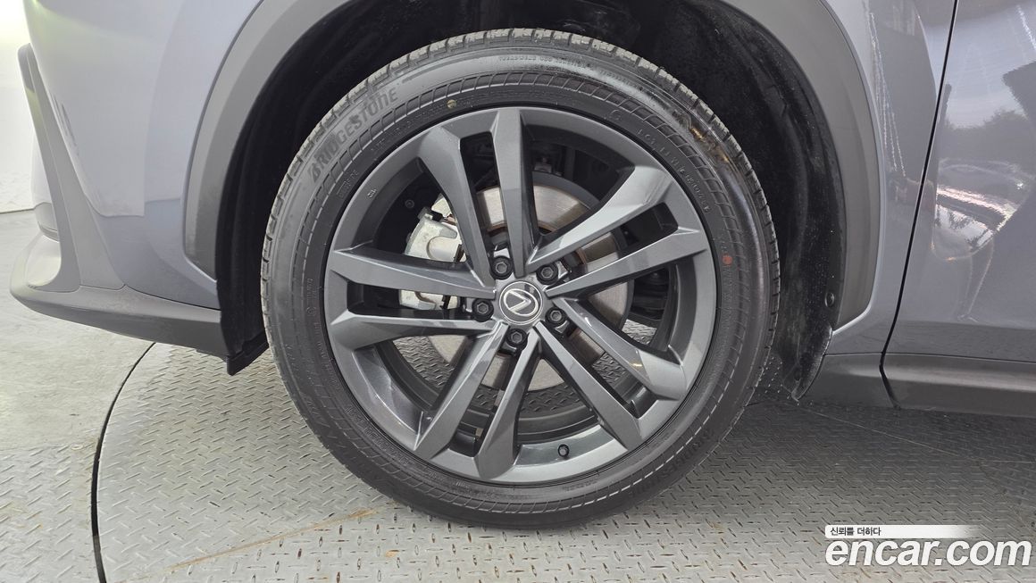Lexus NX 2024