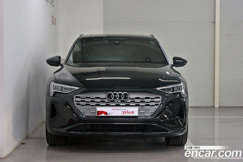 Audi Q8 e-tron 2024