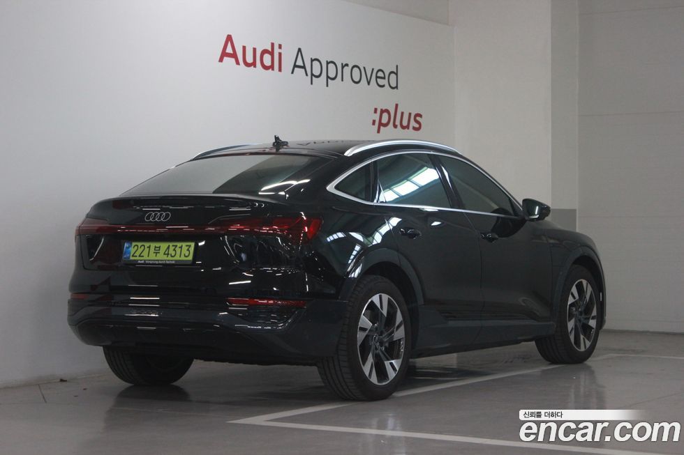 Audi Q8 e-tron 2024